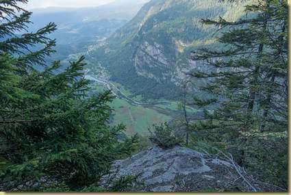 panorama dal Bosco Nero (la quota 1303 m.)