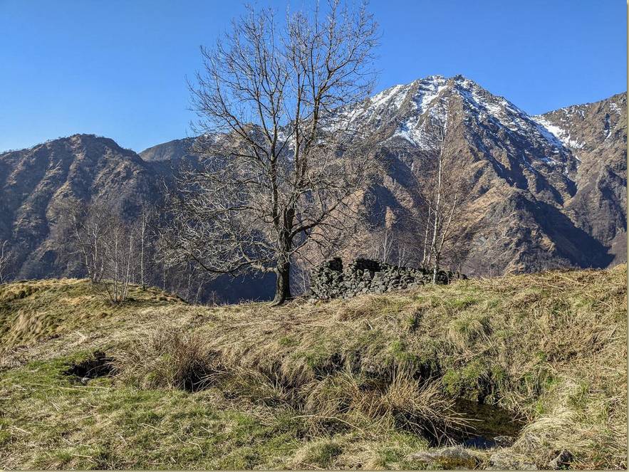 l'Alpe Cassiogn con il suo frassino e la sorgente, e sullo sfondo il Monte Barone...