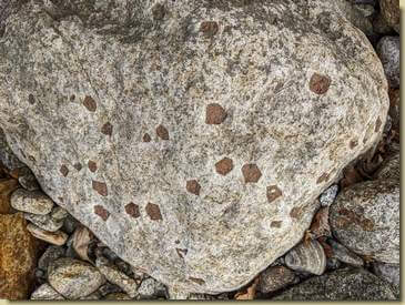 interessante roccia (servirebbe un geologo per capire di che cosa si tratta...)...
