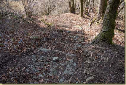 riaffiorano i sassi  della mulattiera...