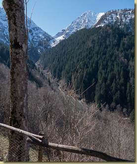 panorama dall'Alpe Pizzone...