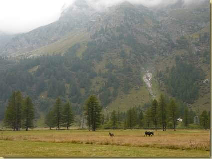 sulla piana del Devero