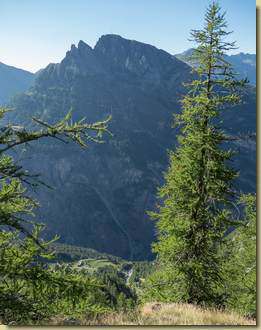 il Seehorn...