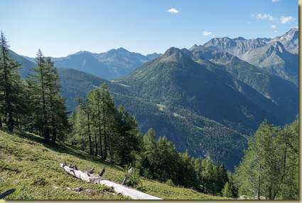 vista verso il colle di Furggu...
