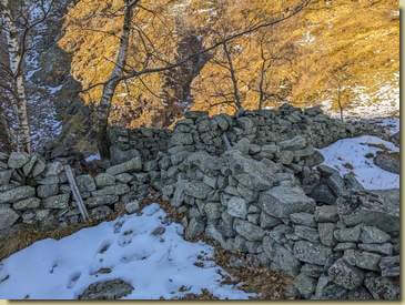 all'Alpe Cicognana...