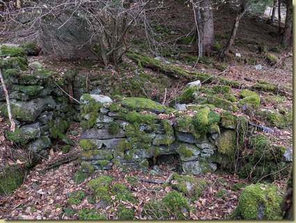 all'Alpe Terzasca...