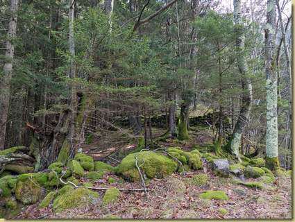 sulla dorsale iniziale...