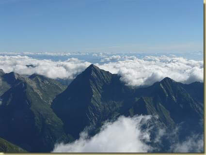 Tagliaferro