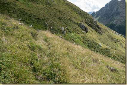l'antica roggia che portava l'acqua alle Alpi di Andolla...