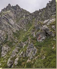 mentre più in alto traversano solo i camosci (e non tutti...)