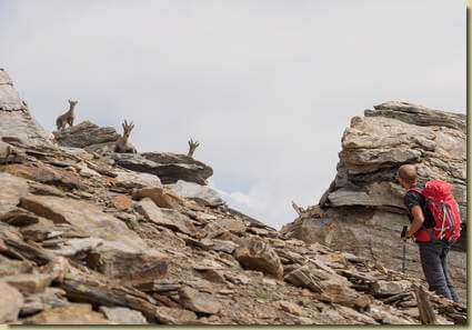 incontri sulla cresta...