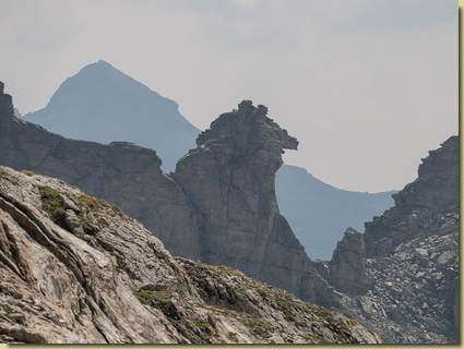 orsetto sulla cresta...