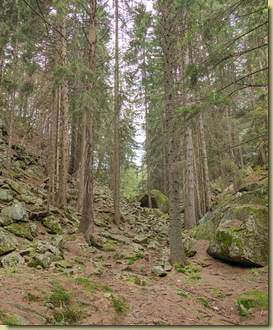 sul sentiero per Vova...