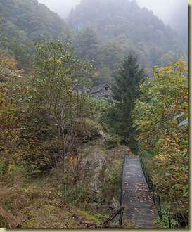 il ponte verso l'Alpe Pianale...