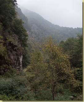 nebbia in Val Segnara...