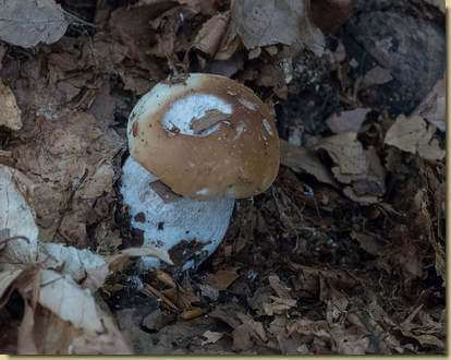 distrazione... (ma non abbiamo tempo per queste cose)