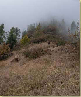 sui pascoli dell'Alpe Curg&egrave;...