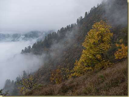 autunno in Val Segnara...