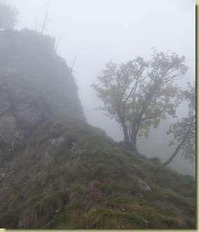 risalita verso la cresta della Cima dell'Ovac...