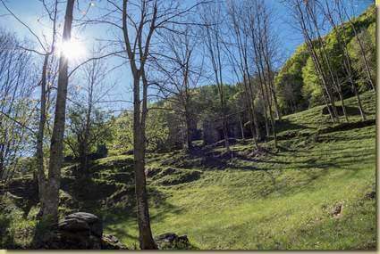 i prati dell'Alpe Forno...