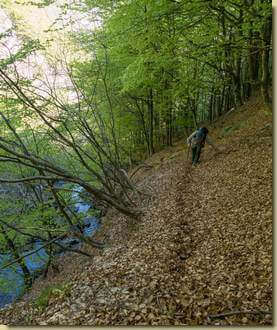 a fianco del Rivo di Val Caurera...