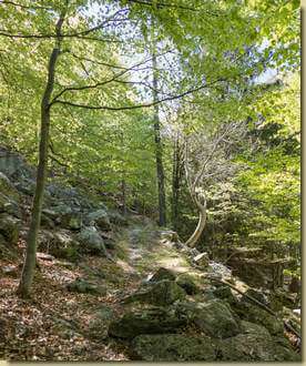 sul sentiero che sale a Curtit...