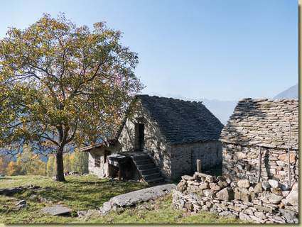 a Pianezza grande...