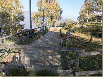 il campo da bocce...