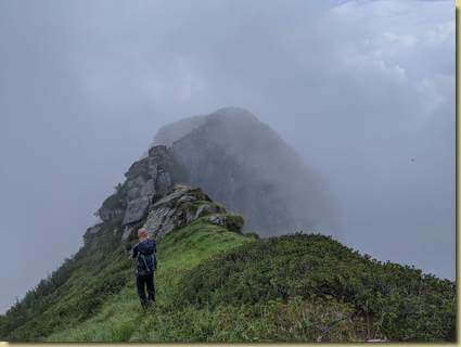 arriva la nebbia...