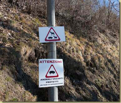 attenzione (non disturbare la riproduzione...)