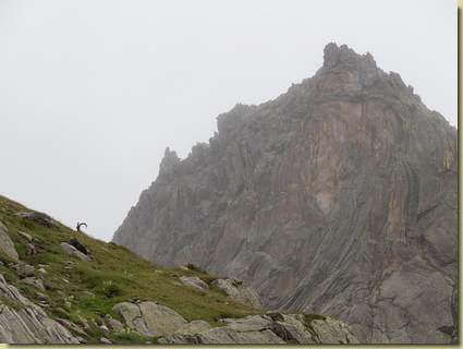 il Pizzo di Pianboglio...