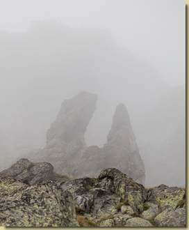 figure nella nebbia...