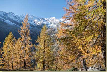 autunno in Val Troncone...