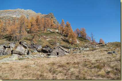 all'Alpe Saler...