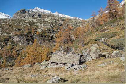 all'Alpe Saler...