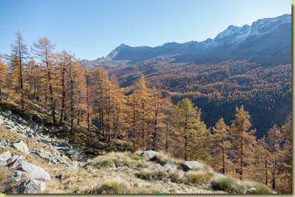 in Val Troncone...