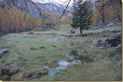 acqua sulla piana dell'Alpe Casaravera...