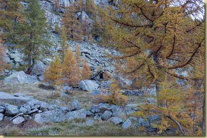 all'Alpe Lombraoro inferiore...
