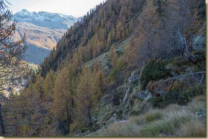 vista verso il prato di Cravarossa...