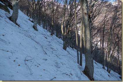 traverso...