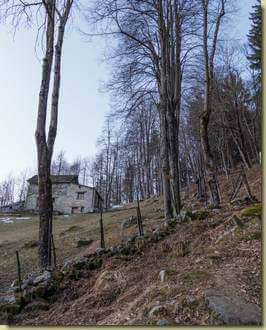 Alpe Strusa...