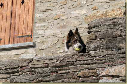 giocherellone...