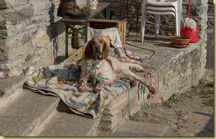 al sole...