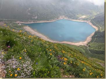 prati fioriti...