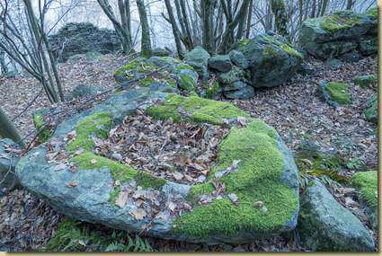 bella vasca all'Alpe Grefa...