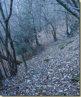 sul sentiero che scende a Fornale...