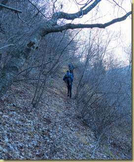 sul sentiero per Grefa...