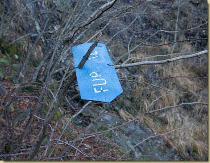 segnalazione incerta...