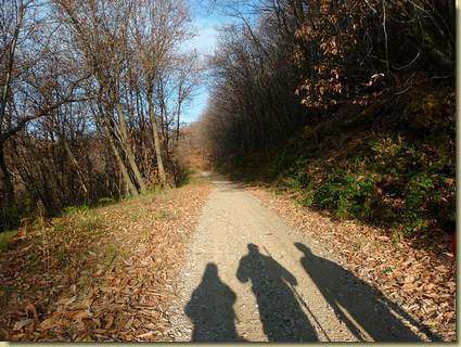 ombre sul percorso...