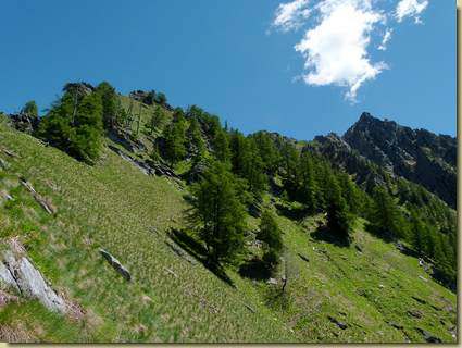 salendo la cresta...